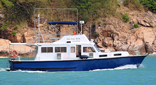 Ferry Services
