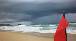Typhoon Advice